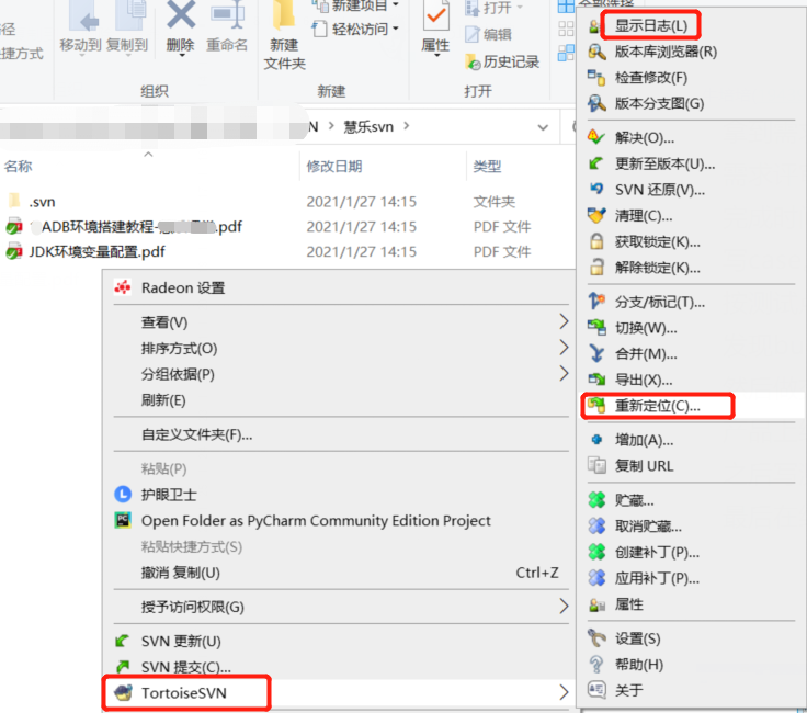 SVN详细使用教程