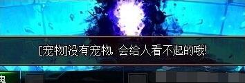 推荐五个DNF中用金币就可以购买的宠物，给那些还没有宠物的勇士
