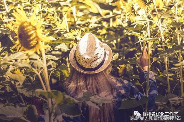如何通过QQ群排名实现精准引流定向人群群排名优化工作室
