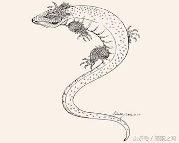 全图盘点《山海经》怪兽大全（西山经下）