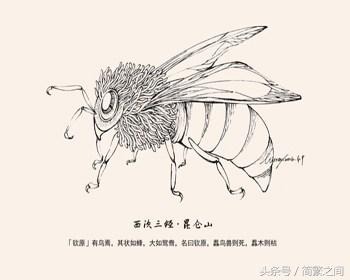 全图盘点《山海经》怪兽大全（西山经下）