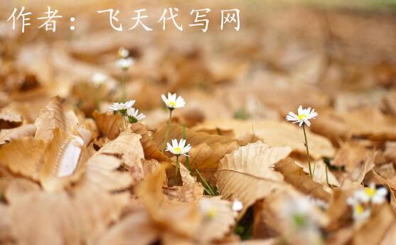 软文发稿平台怎么选？这个平台能够一站式搞定