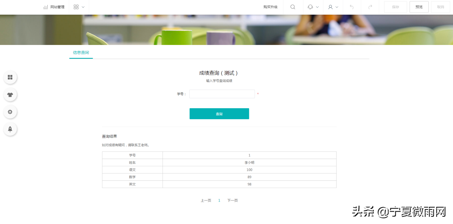 网站信息查询系统如何使用