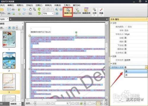 Word导入PDF文档后显示乱码的解决办法