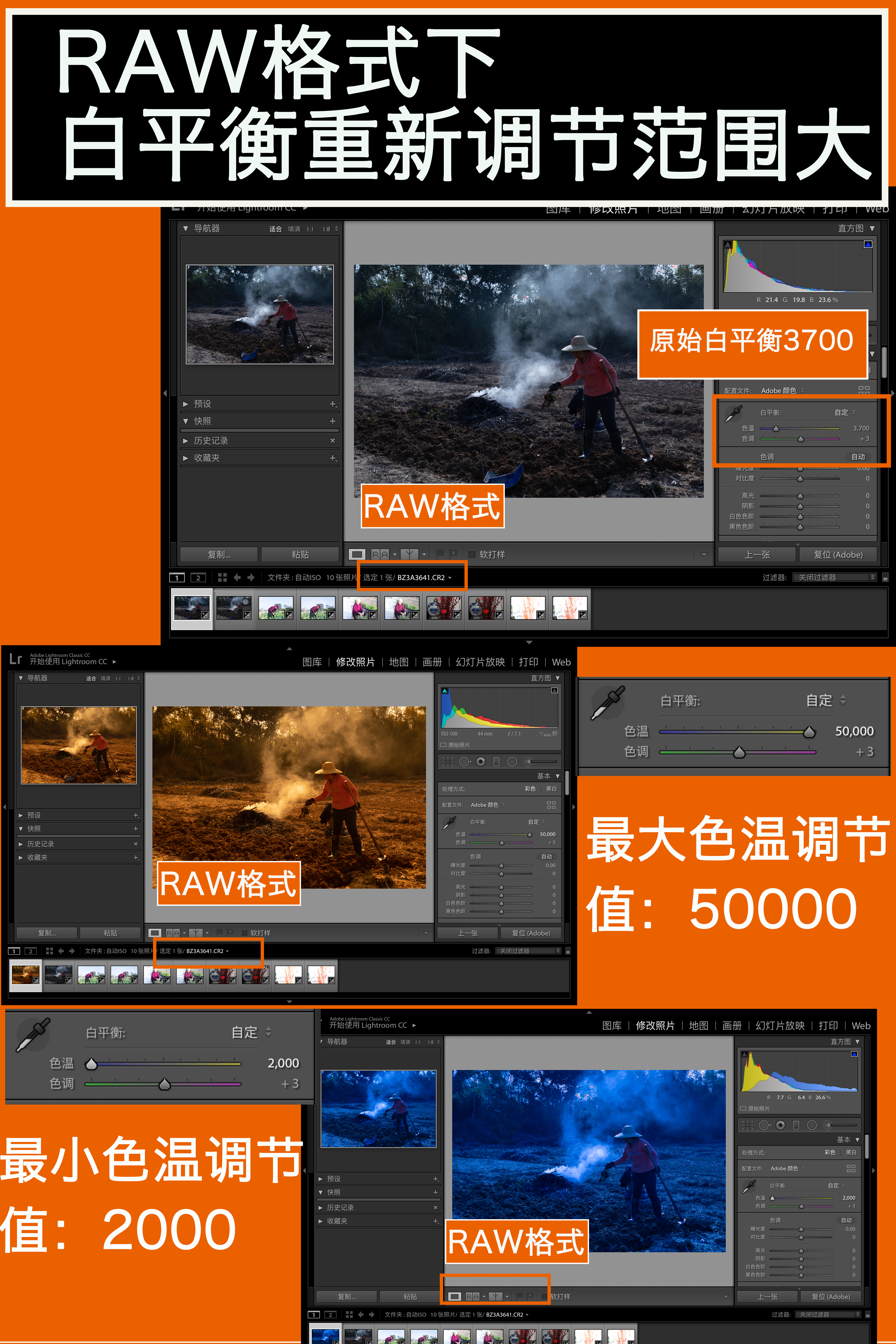 知道RAW和JPEG格式的特点和优势，从此不再纠结用哪种格式储存