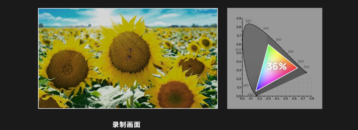 四款 OLED 电视评测