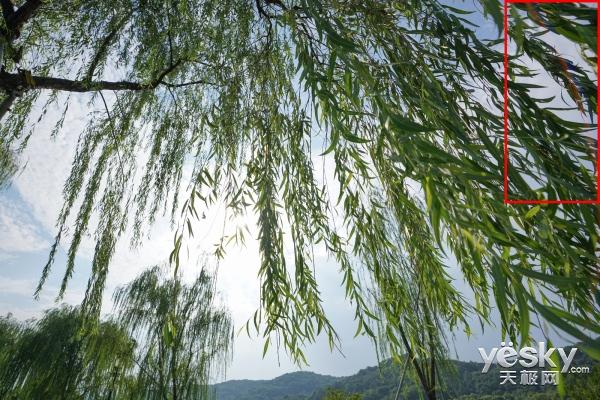 超广大三元 索尼G大师镜头SEL1635GM评测
