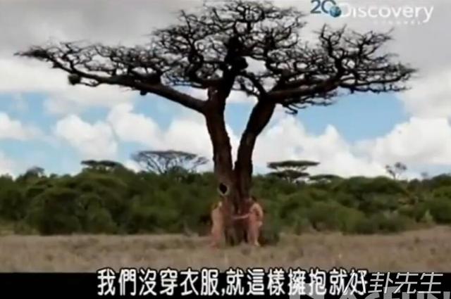 国外奇葩综艺哪家强？美国丝毫不输日本