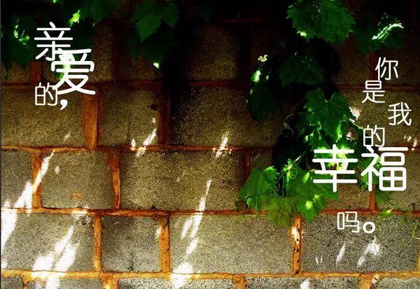 相濡以沫的爱情