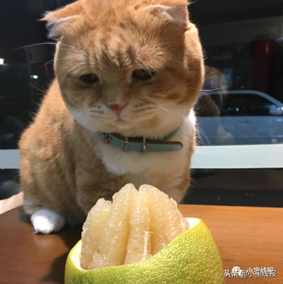 支付宝如何升级
