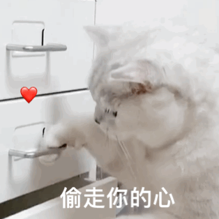 PDF怎么转Word？这几款软件满足你的要求