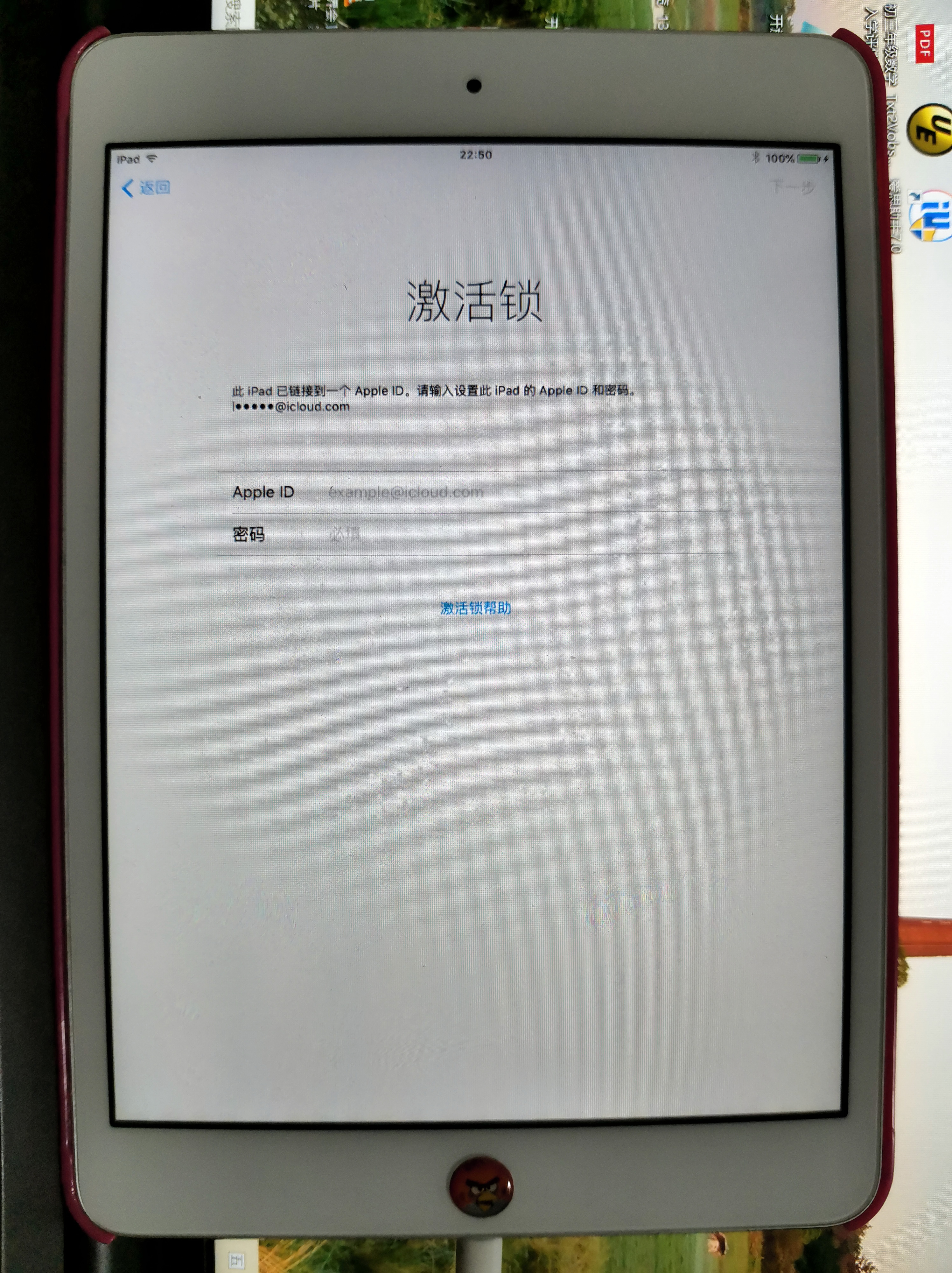 iPad Mini找回密码失败无法激活，就只能变为一块板砖？