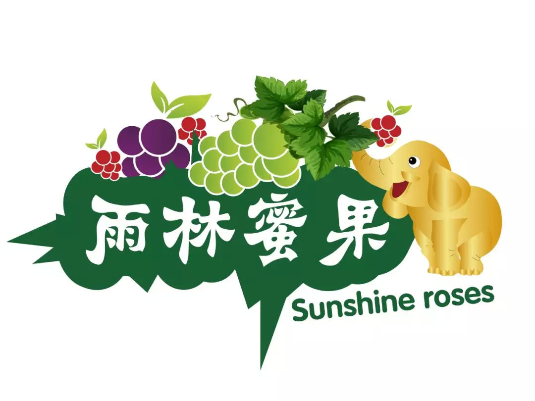 1分钟在线LOGO自助设计 帮你打造个性LOGO