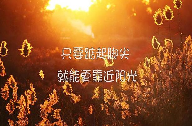 苹果微信聊天记录一下子就不见了，发现了个神奇方法解救