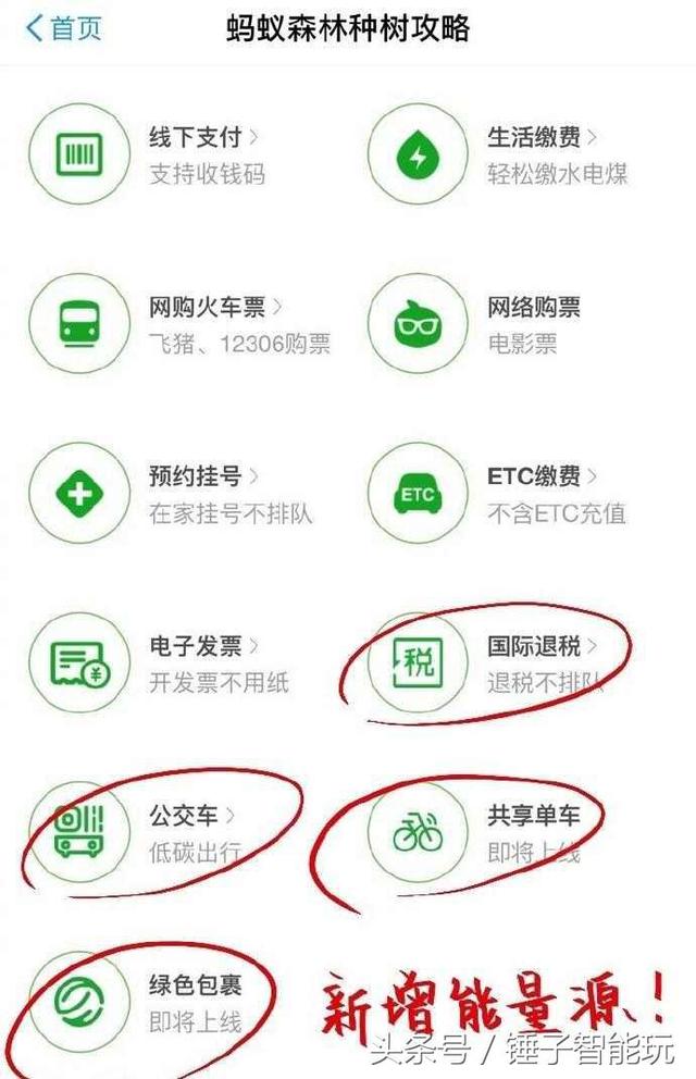 蚂蚁森林又添新玩法，刷公交，骑自行车都可以收集能量了