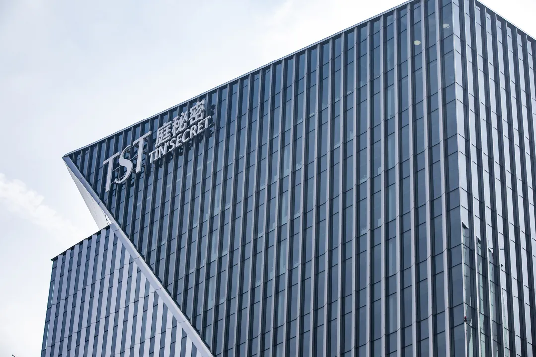 家族、伎俩和梦，张庭如何托起微商帝国