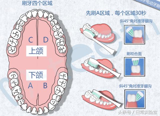 你真的会用电动牙刷吗？一篇文章教你如何用电动牙刷刷牙