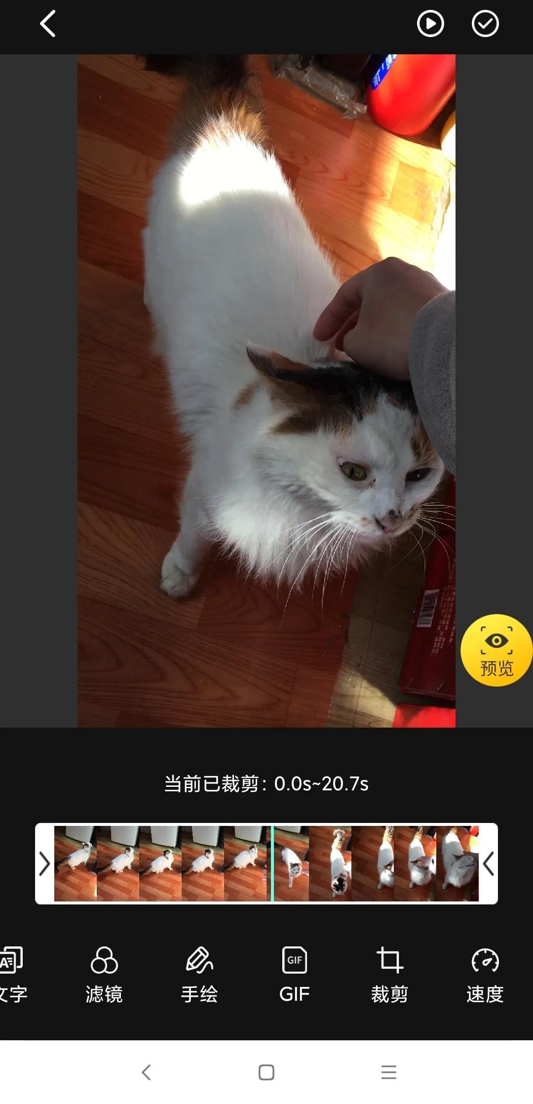 可爱的表情包怎么制作？来试试这几款GIF制作应用