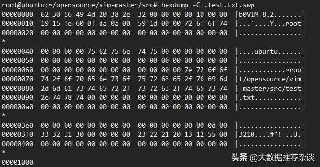 Linux 编辑器之神 vim 的 IO 存储原理