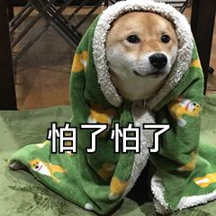 微软雅黑也侵权？！赶紧看看哪些字体可免费商用吧！别再掉坑了
