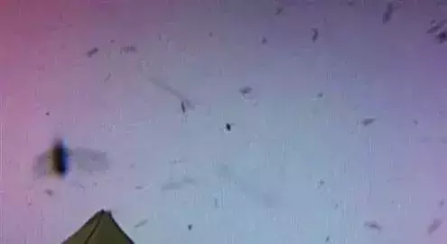 怪谈 | 扒一扒唐山大地震前后的诡异怪事