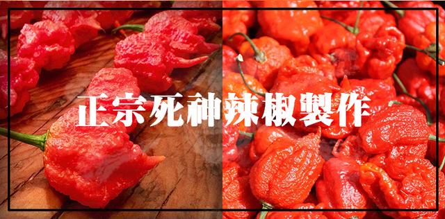 十二种网红辣条测评报告，你全都吃过吗？