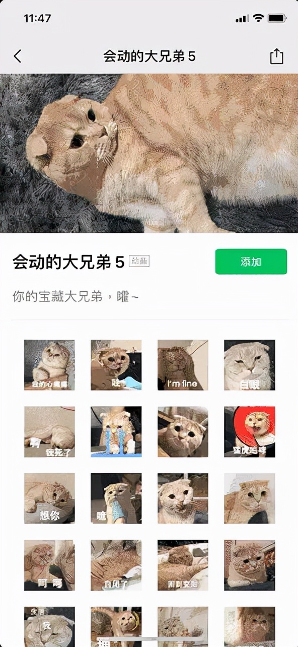 可爱的表情包怎么制作？来试试这几款GIF制作应用