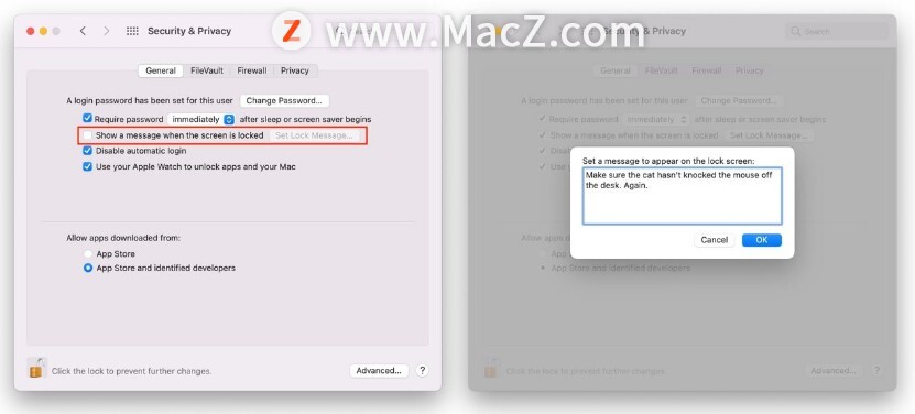 如何在 Mac 的锁定屏幕上显示自定义消息？