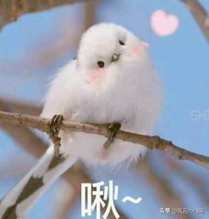 如何打开CAD文件？好方法分享给你