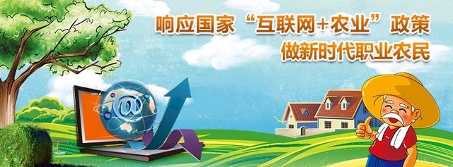 读懂八大点教你如何做好农村电商