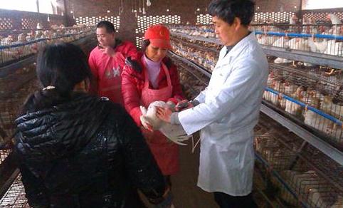 农民想创业但资金有限？这5个小投资项目最合适，做好了肯定赚