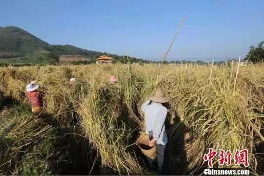 三个步骤教你打造爆款产品，知道了想不挣钱都难！（附案例）
