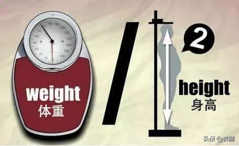减肥，别着急！BMI这个“纤体指标”你搞懂了吗？