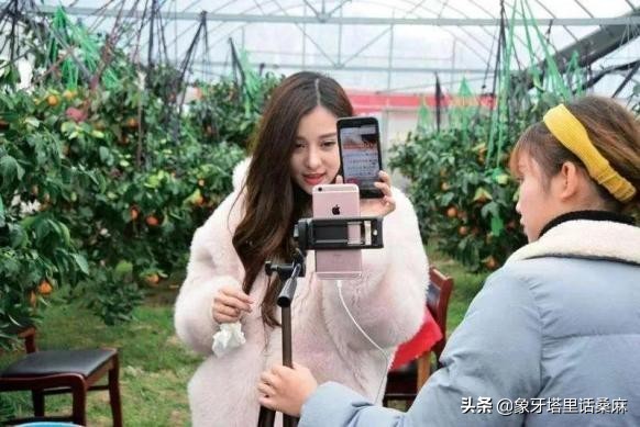 农产品直播带货主播话术必备