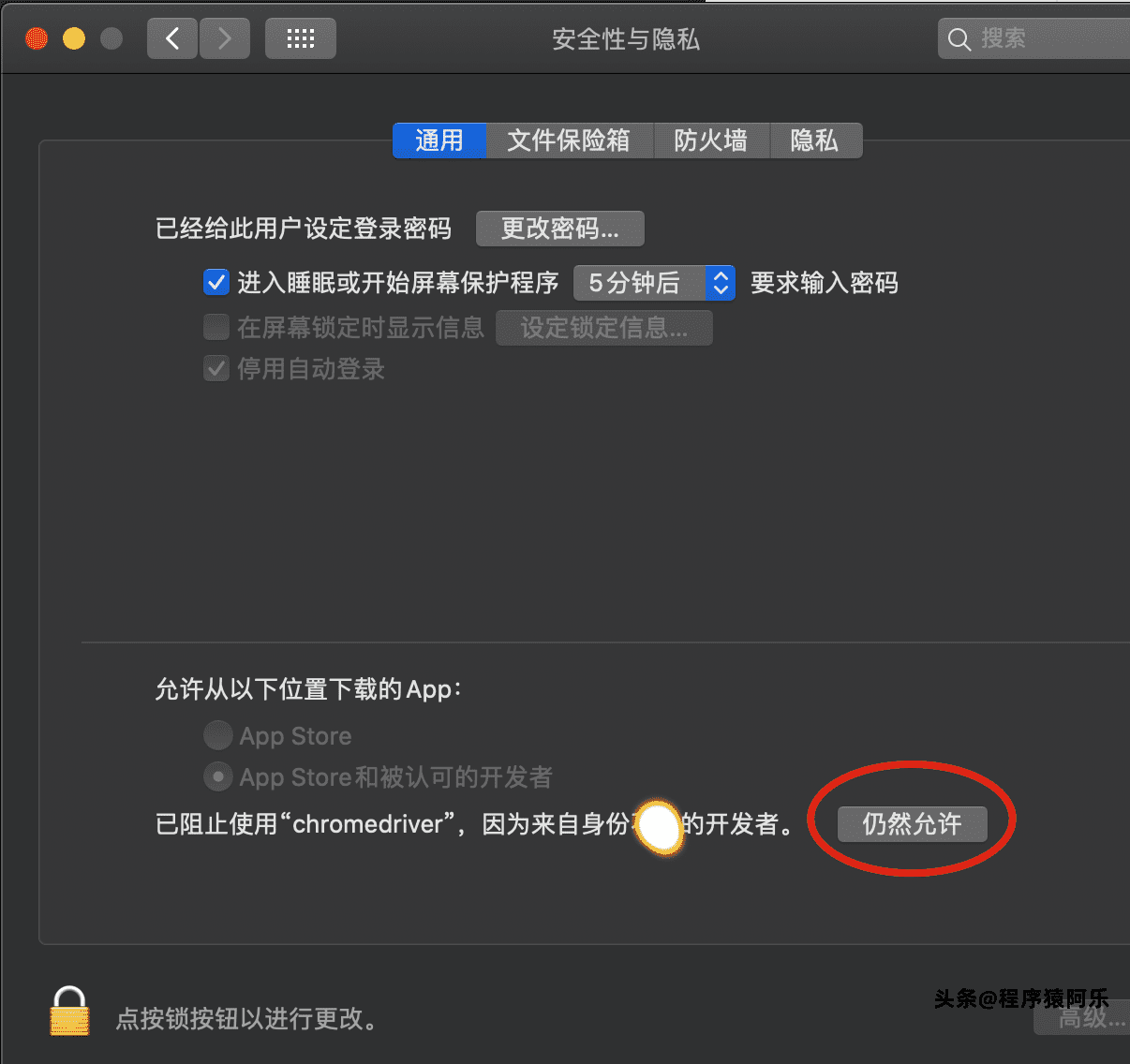 安装chromedriver的两种方法