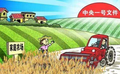 2019年，农民回乡创业，可在这些方面下功夫，成功机率很大