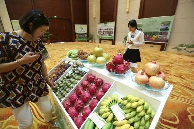 红河农产品电商：方兴未艾 百舸争流