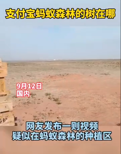马云承诺每年种1亿棵树，五年过去了，这些树都怎么样了？