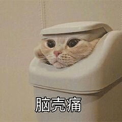 PDF怎么转Word？这几款软件满足你的要求