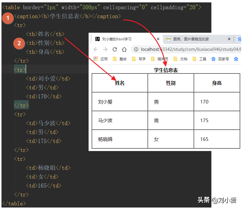 HTML学习笔记：各种常用标签