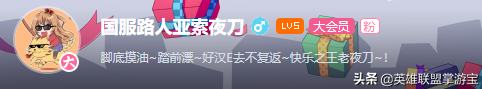 浅谈LOL的自制皮肤，国服自制皮肤之路几经风雨飘摇