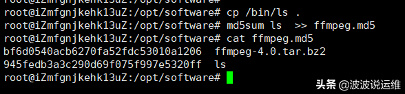 Linux命令详解：md5sum--查看文件MD5值