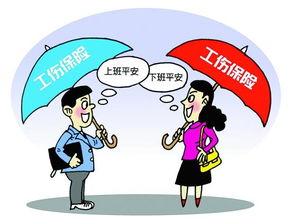社保中包含哪些保险？