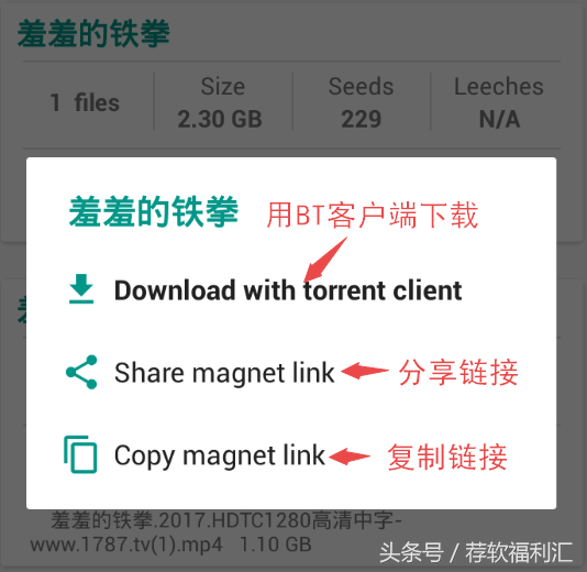 手机｜老司机的福利，手机上的P2P搜索神器，附带不限速迅雷