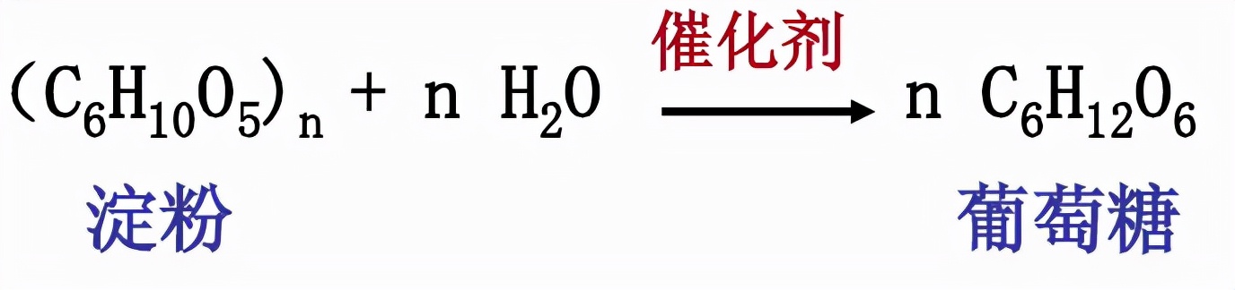 未来不用种地？我国科学家首次人工合成淀粉，诺贝尔奖级的大突破