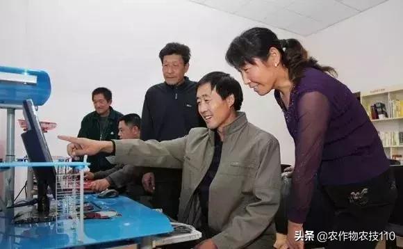 农村这9个创业项目，本钱少，有“钱途”，你钟意哪一个？