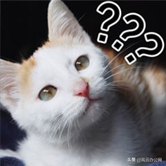 在手机上图片如何修改尺寸？学会这招，轻松修改图片尺寸