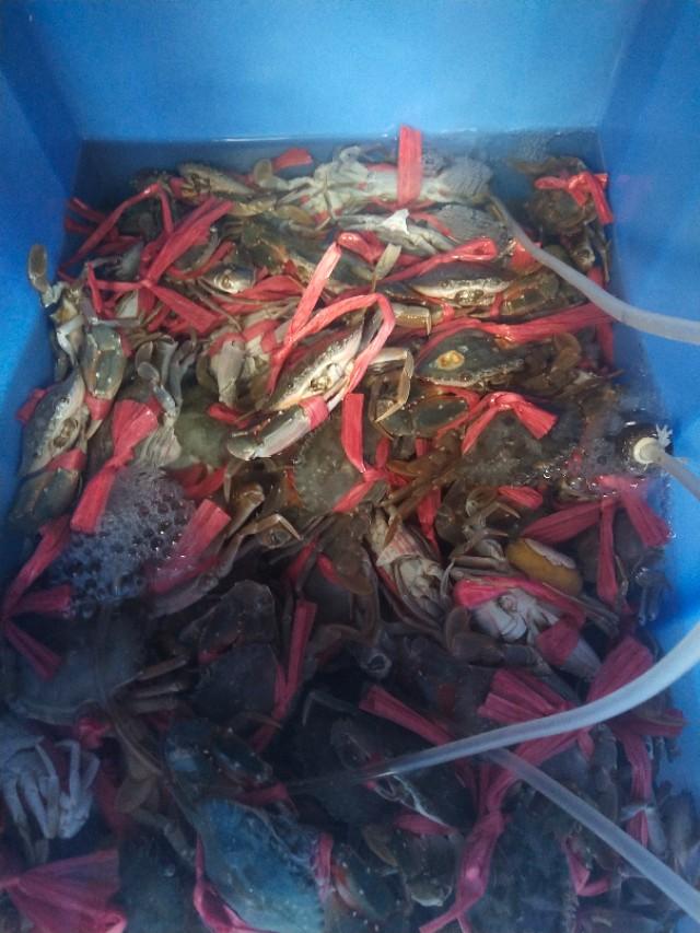 亲身经历教你如何摆地摊，如何高效高收入，时间和金钱成正比