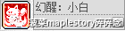 冒险岛职业攻略-阴阳师篇
