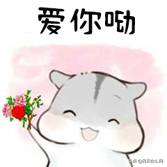 PDF文件怎么编辑？通过这几款软件，让你轻松编辑PDF